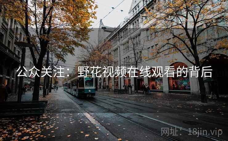 公众关注：野花视频在线观看的背后