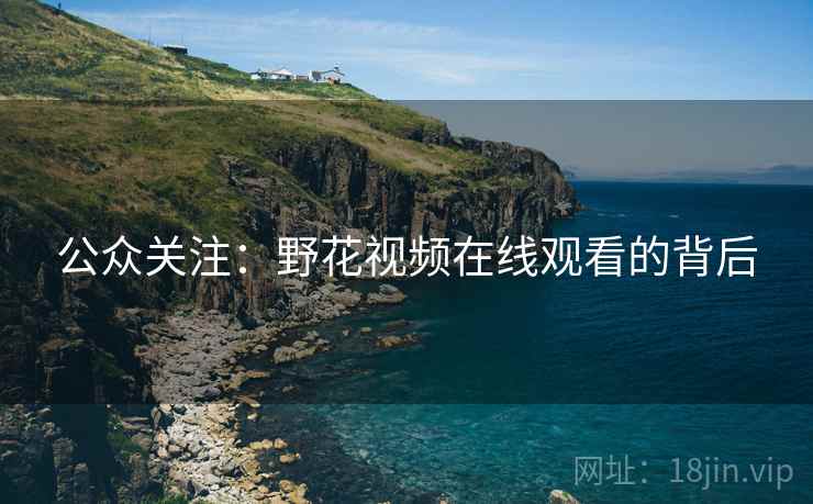 公众关注：野花视频在线观看的背后