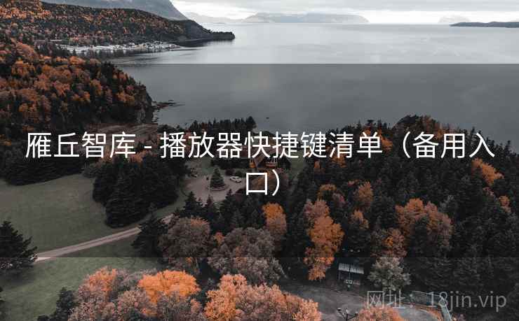 雁丘智库 - 播放器快捷键清单（备用入口）