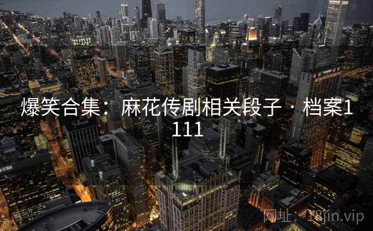 爆笑合集：麻花传剧相关段子 · 档案1111